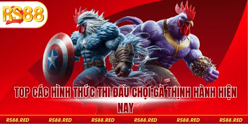 Top các hình thức thi đấu chọi gà thịnh hành hiện nay